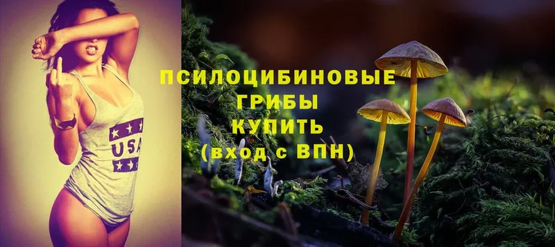 kraken ТОР  Рославль  Галлюциногенные грибы Psilocybine cubensis 